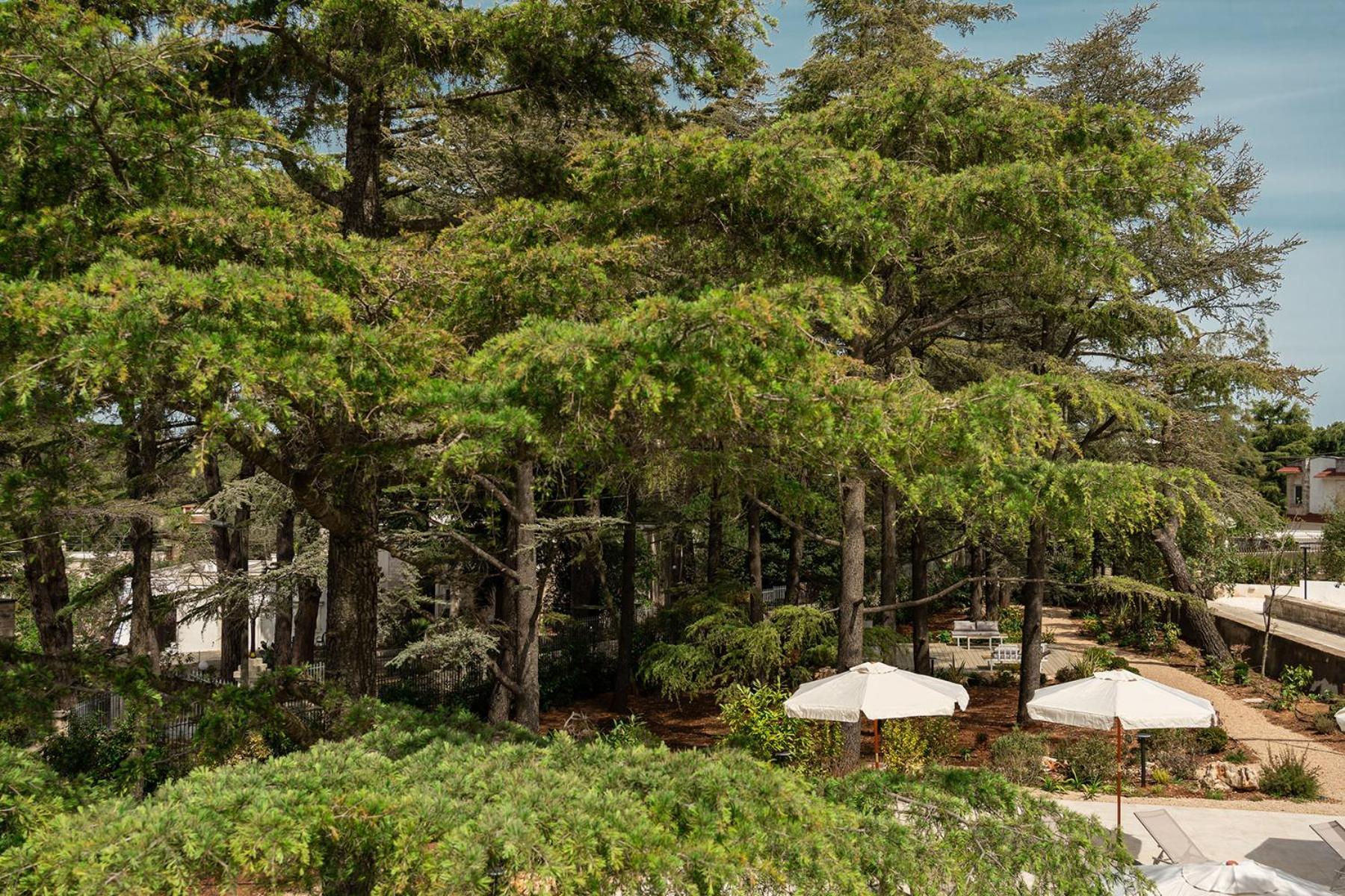 Borgo Lucia Villa Selva Di Fasano Buitenkant foto