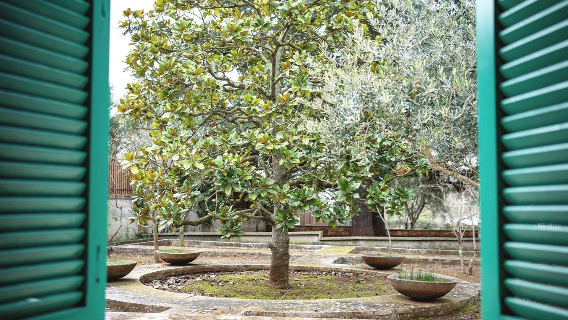 Borgo Lucia Villa Selva Di Fasano Buitenkant foto